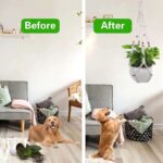 Macrame Plant Hanger 3 Pack Indoor Outdoor Hanging Planter Holder 35'' Ceiling P... - Image 6