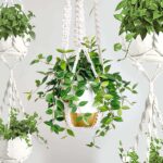 Macrame Plant Hanger 3 Pack Indoor Outdoor Hanging Planter Holder 35'' Ceiling P... - Image 8