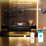 PAUTIX COB LED Strip Lights Addressable 2700K-6500K Chasing White Light CCT Smar... - Image 9
