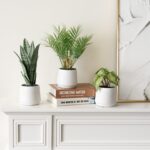 MyGift Modern Assorted Artificial Plants Potted in White Textured Planter Pots, ... - Image 5