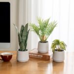MyGift Modern Assorted Artificial Plants Potted in White Textured Planter Pots, ... - Image 7