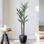 Artificial Tree 5.3ft Faux Agave Plant with 45 Leaves and 3 Realistic Trunks,Fak... - Image 5