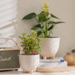 LA JOLIE MUSE Ceramic Footed Flower Plant Pots - 6.7 + 5.1 Inch Boho Decor Indoo... - Image 3