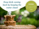 Bird Bath & Fountain Maintenance - (8 Ounces) - Fast-Acting Enzyme-Based Formula... - Image 4