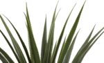Nearly Natural 4ft Artificial Spiked Agave Plant, Faux Succulent Greenery for In... - Image 8