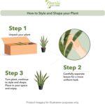 Nearly Natural 4ft Artificial Spiked Agave Plant, Faux Succulent Greenery for In... - Image 9