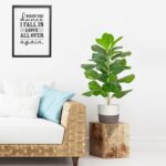 Artificial Fiddle Leaf Fig Tree/Faux Ficus Lyrata for Home Office Decoration, 30... - Image 3