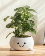 Smily Face Planter Pot Funny Toilet Plant Pots Cute Ceramic Flower Head Planters... - Image 6