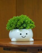 Smily Face Planter Pot Funny Toilet Plant Pots Cute Ceramic Flower Head Planters... - Image 7