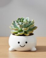 Smily Face Planter Pot Funny Toilet Plant Pots Cute Ceramic Flower Head Planters... - Image 8