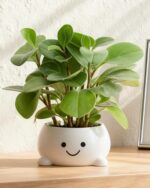 Smily Face Planter Pot Funny Toilet Plant Pots Cute Ceramic Flower Head Planters... - Image 9