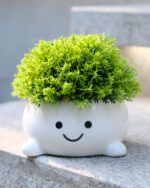 Smily Face Planter Pot Funny Toilet Plant Pots Cute Ceramic Flower Head Planters... - Image 10