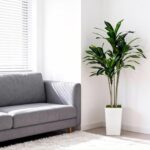 Artificial Dracaena Tree 5FT with White Tall Planter - Faux Tree Tall Fake Floor... - Image 3