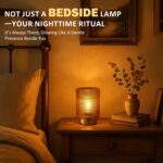 Battery Operated Decorative Lamp with Timer for Bedside/Bookshelf Decor,Cordless... - Image 3