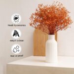 Bohemian White Ceramic Vase - for Pampas Grass, Mantel, Bookshelf, Entryway and ... - Image 4