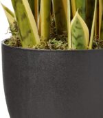 Nearly Natural 33” Sansevieria Artificial Silk Plants Green - Image 6