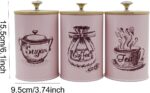 3x Kitchen Canisters for Countertop Coffee Tea Sugar Containers Set Iron Restaur... - Image 6