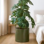 D'vine Dev 14 Inch Ceramic Planter Pot with Drainage Hole and Saucer, Indoor Cyl... - Image 3