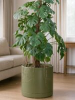 D'vine Dev 14 Inch Ceramic Planter Pot with Drainage Hole and Saucer, Indoor Cyl... - Image 6