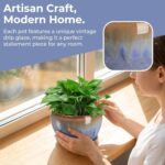 AVLA 3 Pack Ceramic Plant Pots, Gardening Drip Glazed Planters, Decorative Flowe... - Image 8