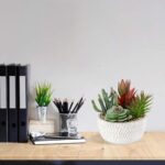 Briful Small Fake Plants Assorted Faux Succulents in Pots Realistic Succulents P... - Image 4