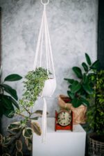 Minimalist Macrame Plant Hanger White (Off-White) - Image 3