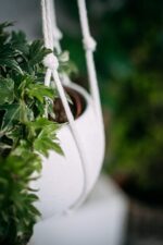 Minimalist Macrame Plant Hanger White (Off-White) - Image 4
