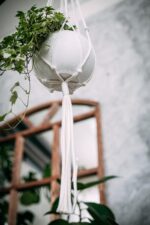 Minimalist Macrame Plant Hanger White (Off-White) - Image 6