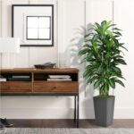 Artificial Dracaena Plant Indoor 5FT - Fake Tree with Gray Tall Planter - Faux Y... - Image 3