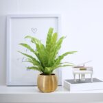 Ceramic Pots for Home Plants Gold Flower Pot with Anti-Slip Bottom Elegant Home ... - Image 6