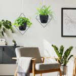Koalaime Hanging Planters for Indoor Plants, 2 Set Self Watering Hanging Flower ... - Image 3