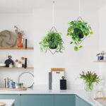Koalaime Hanging Planters for Indoor Plants, 2 Set Self Watering Hanging Flower ... - Image 5