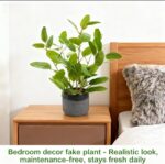 Fake Ficus Plants 14.5 Inches Tall Artificial Ficus Indoor Plants with Green Lif... - Image 4