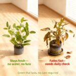 Fake Ficus Plants 14.5 Inches Tall Artificial Ficus Indoor Plants with Green Lif... - Image 7