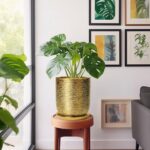 Ceramic Flower Pot for Indoor Plants - 10 Inch Plant Pot with Drainage Hole and ... - Image 7