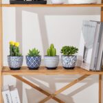 Ceramic Succulent Planter Pots - 3.5 Inch Small Flower Pot with Drainage Holes a... - Image 7