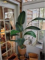 One 5 Foot Artificial Silk Bird of Paradise Palm Tree Potted Plant by Bagari - Image 8