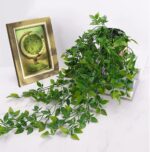 Artificial Hanging Plants, 2pcs artificial plants indoors in pots, Greenery Fake... - Image 6