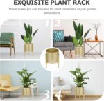GANAZONO Gold Plant Stand Flower Pots Indoor Metal Plant Pot with Iron Stand Mod... - Image 6