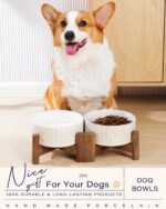 Getstar Ceramic Dog Bowls Set with Acacia Wood Stand, 3.5 Cups Pet Bowls Set of ... - Image 4