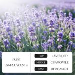 NORVENCE Scented Candles Gift Set, Stress Relief Candles for Home, Premium Soy C... - Image 4