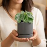 D'vine Dev Set of 4 Small Ceramic Plant Pots, 4.7 Inch Succulent Planter Pot for... - Image 3