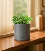 D'vine Dev Set of 4 Small Ceramic Plant Pots, 4.7 Inch Succulent Planter Pot for... - Image 6
