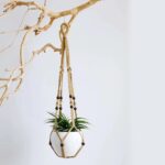 Macrame Plant Hanger 3 Pack Indoor & Outdoor Wall Hanging Planter + 3 Hooks Hang... - Image 5