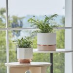 LA JOLIE MUSE White Ceramic Flower Pots - 6.7 + 5.4 Inch Indoor Planters, Plant ... - Image 3