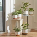 LA JOLIE MUSE White Ceramic Flower Pots - 6.7 + 5.4 Inch Indoor Planters, Plant ... - Image 4