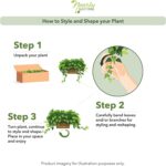 Nearly Natural 34in Artificial Pothos Ivy Plant with Ledge Basket Faux Trailing ... - Image 6