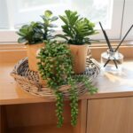 Artificial Succulents with Pots - Set of 3 Small Fake Plants for Aesthetic Room ... - Image 3