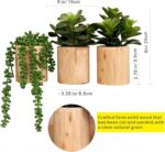 Artificial Succulents with Pots - Set of 3 Small Fake Plants for Aesthetic Room ... - Image 4