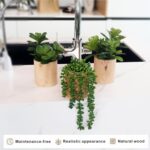 Artificial Succulents with Pots - Set of 3 Small Fake Plants for Aesthetic Room ... - Image 5